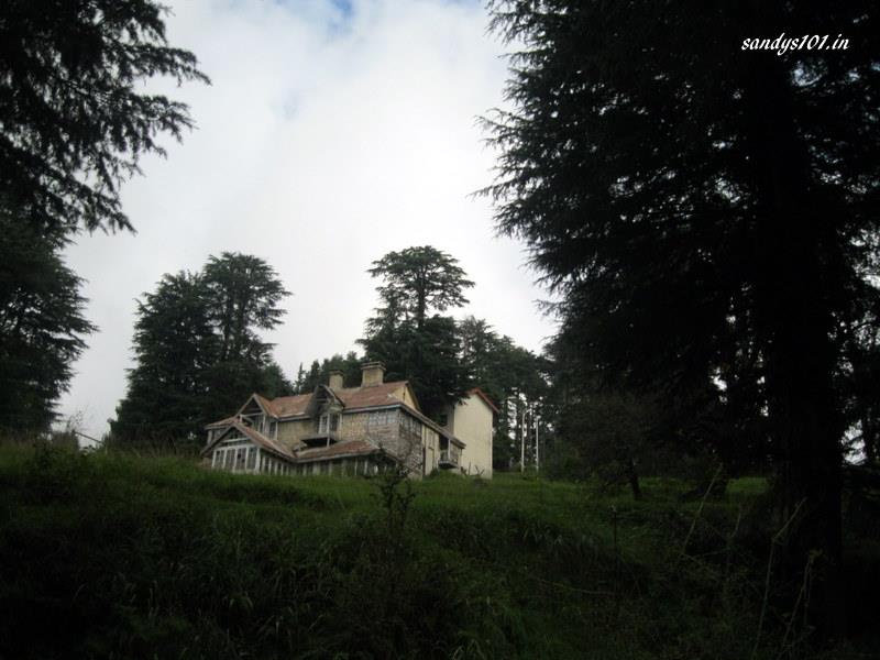Mountain Road & Deodar Framing