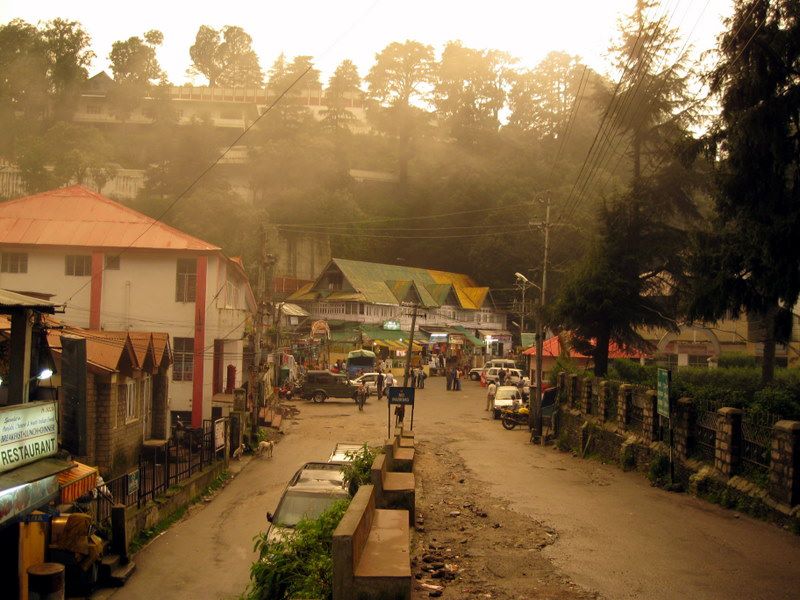 Pedestrians and deodars in warm golden hour mist on Dalhousie bazaar road