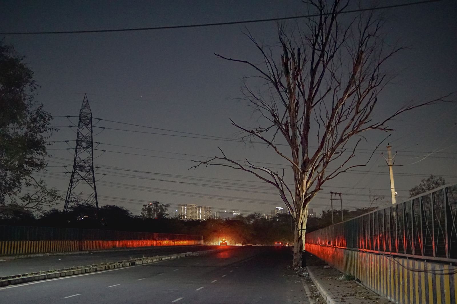 The Solitary Highway Tree
