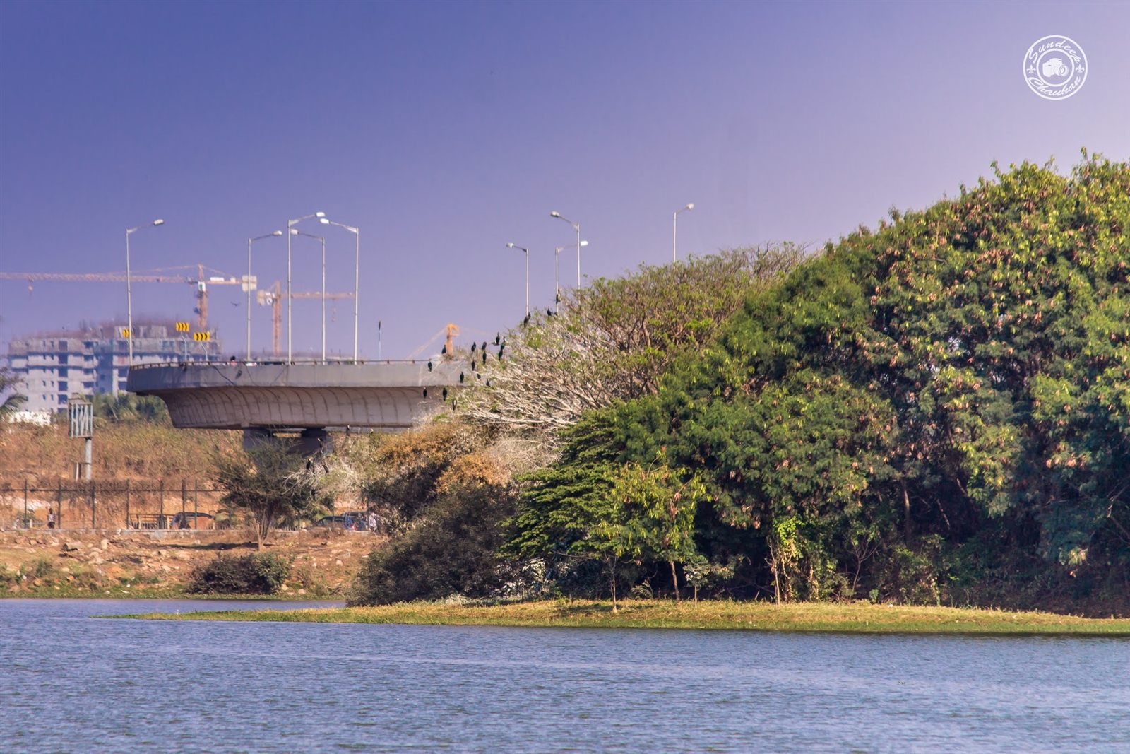 Hebbal Lake island with cormorants and Outer Ring Road flyover bridge