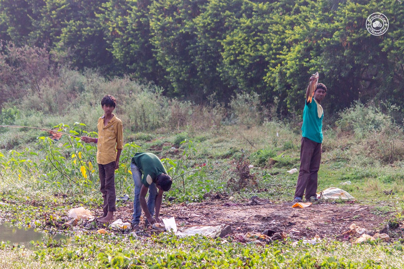 Fishermen catching fish on Hebbal Lake bank