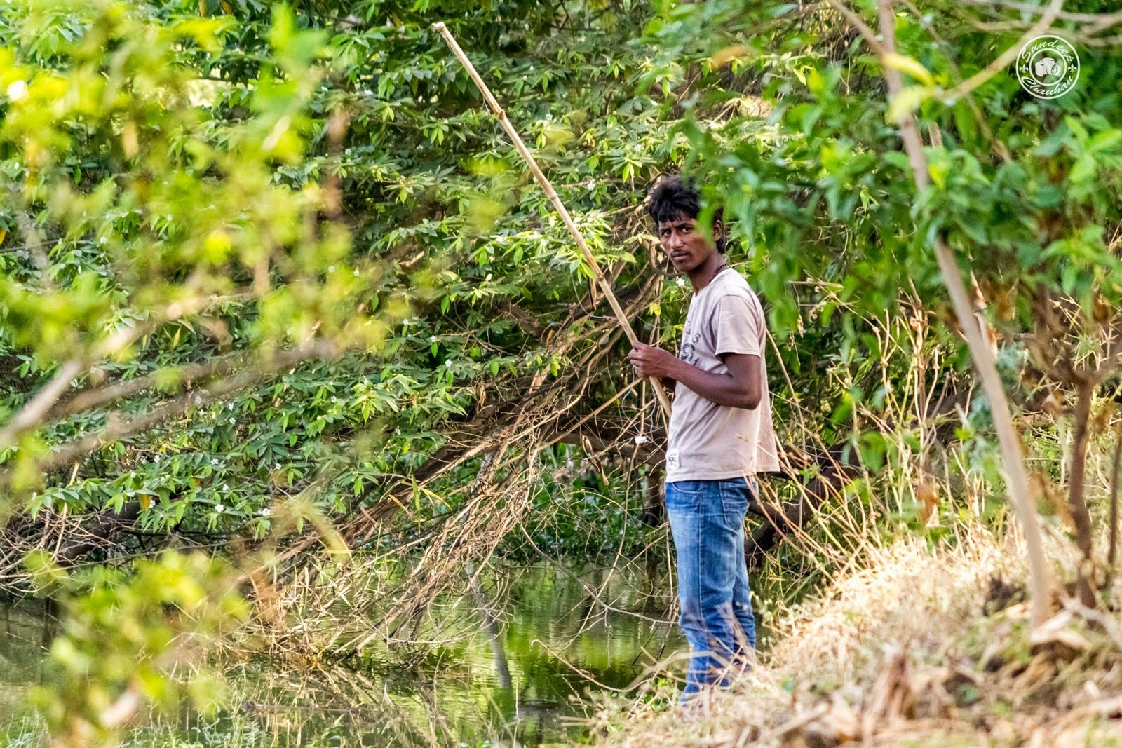 Fisherman with bamboo pole on the green wooded bank of Hebbal Lake
