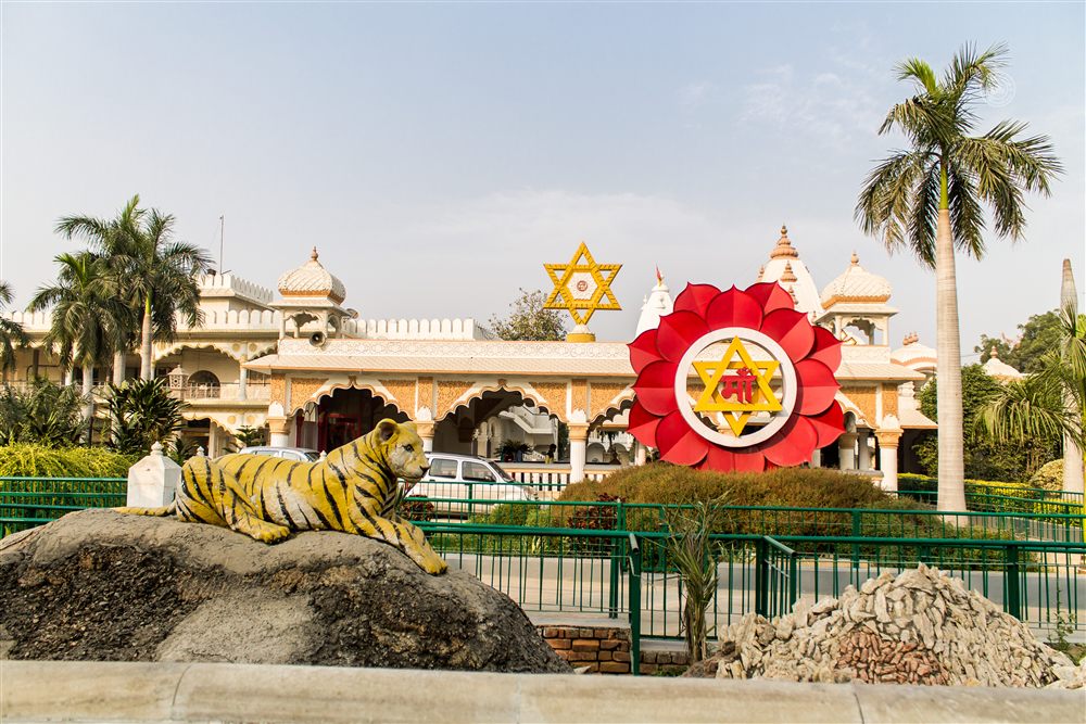 Tiger & Lotus Sanctum
