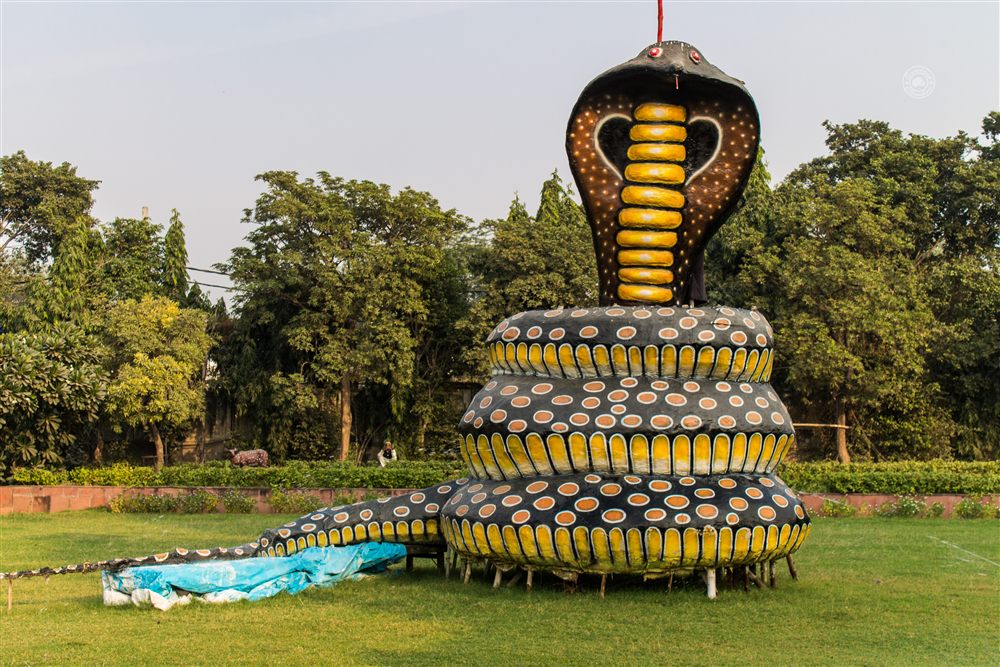 Serpent on the Grass